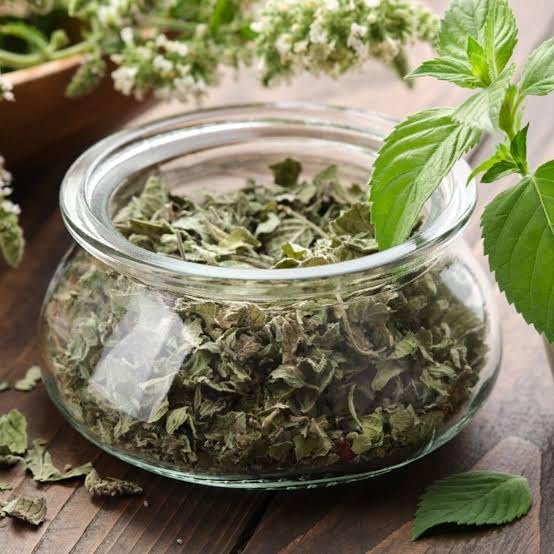 Dried Mint Leaves
