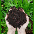 Vermicompost for soil mix, soil mix organic manure