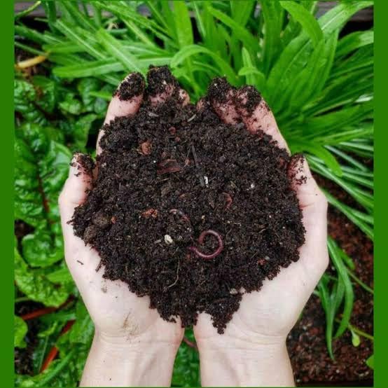 Vermicompost for soil mix, soil mix organic manure
