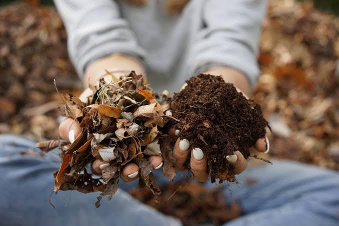 Premium Organic Garden Compost Mix, Brown, Leaf and Soil Blend, Natural Fertilizer for Outdoor Plants and Vegetables