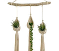 Macrame Plant Hangers with Driftwood Wall Mount, 3-Piece Set, Decorative Hanging Planters with Tassels, Cream