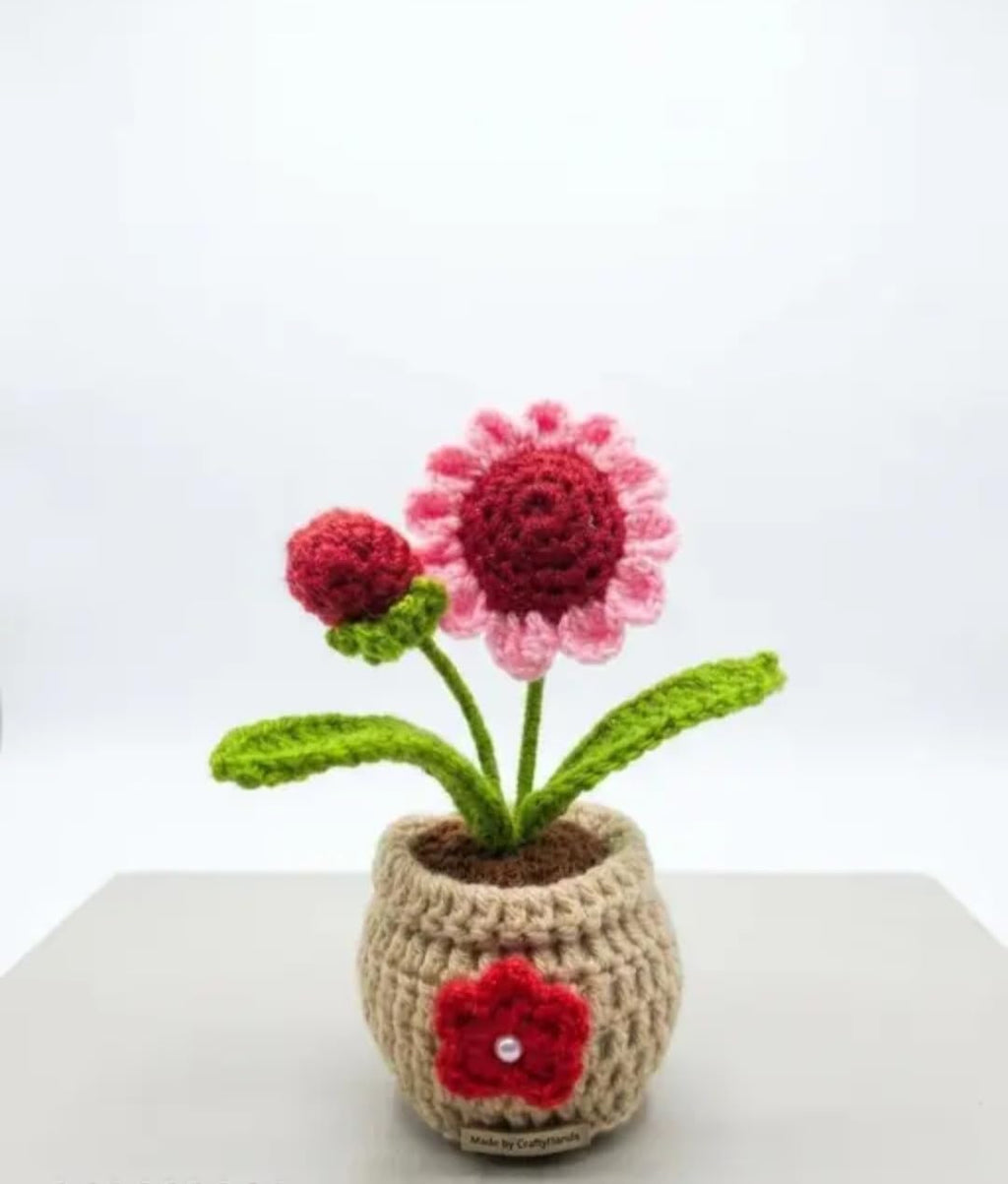 CraftyHands Crochet Flower Pot, Handmade Knitted Floral Decor, Pink and Red, Home Decoration