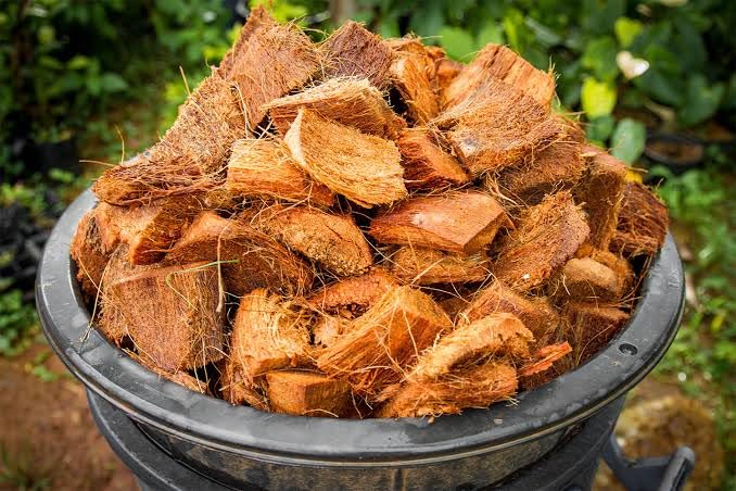 Coconut husk for puja hawan, garden soil, animal bedding