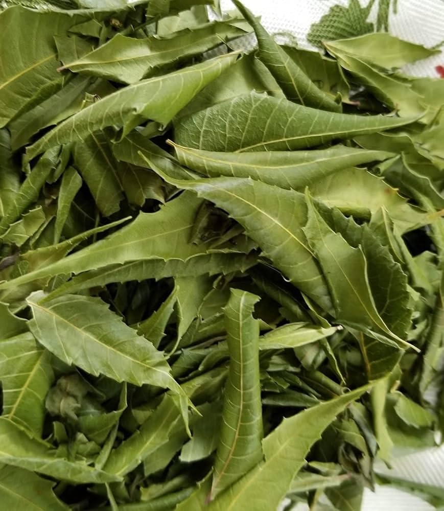 Dried Neem Leaves, Natural Loose Leaf