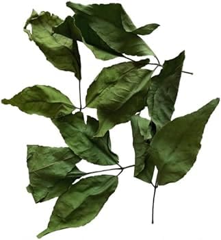 Dry bel patra for puja, shiva puja bel patta, bel patra
