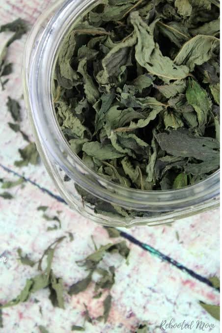 Dried Mint Leaves