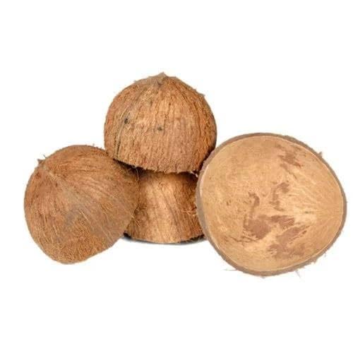 art and craft kit, for basket making Coconut shell for basket making, home decor and crafting