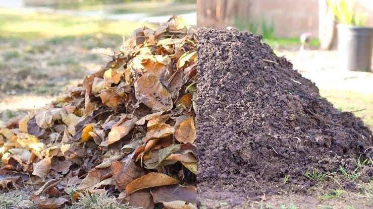 Premium Organic Garden Compost Mix, Brown, Leaf and Soil Blend, Natural Fertilizer for Outdoor Plants and Vegetables