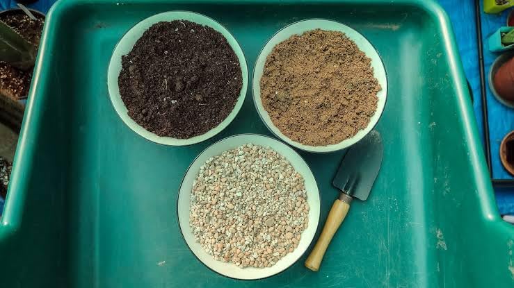 Premium Potting Mix with Perlite and Small Hand Trowel, Indoor Plant Soil, succulent soil mix