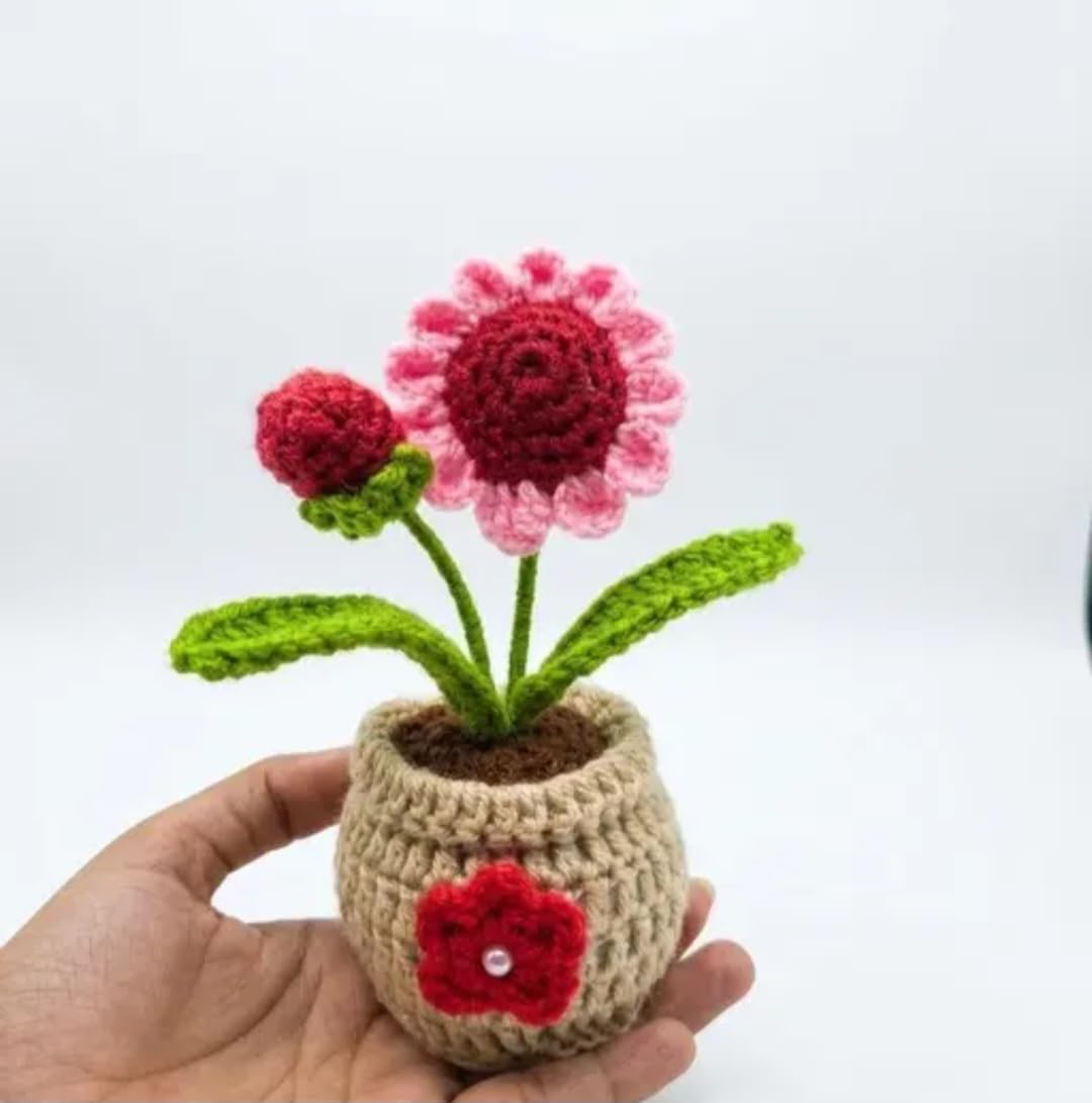 CraftyHands Crochet Flower Pot, Handmade Knitted Floral Decor, Pink and Red, Home Decoration