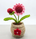 CraftyHands Crochet Flower Pot, Handmade Knitted Floral Decor, Pink and Red, Home Decoration