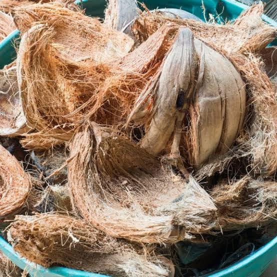 Coconut husk for puja hawan, garden soil, animal bedding