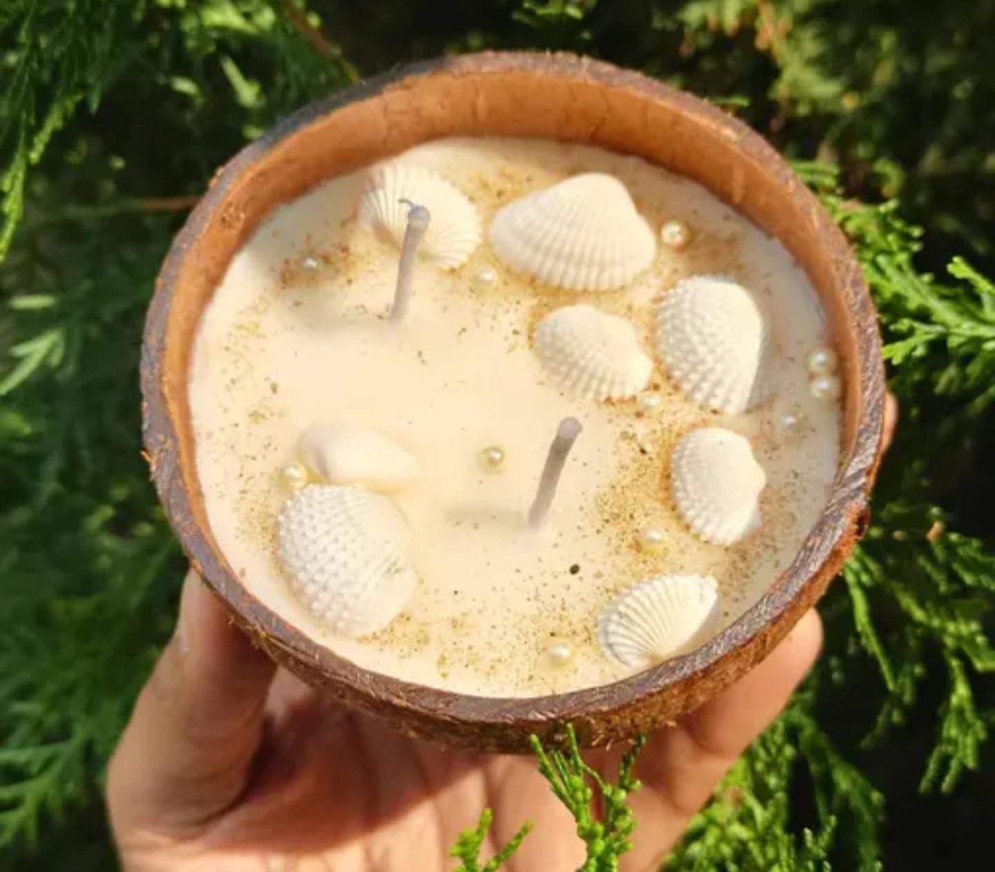 Natural Coconut Shell Scented Candle, Seashell Decorative, Handmade