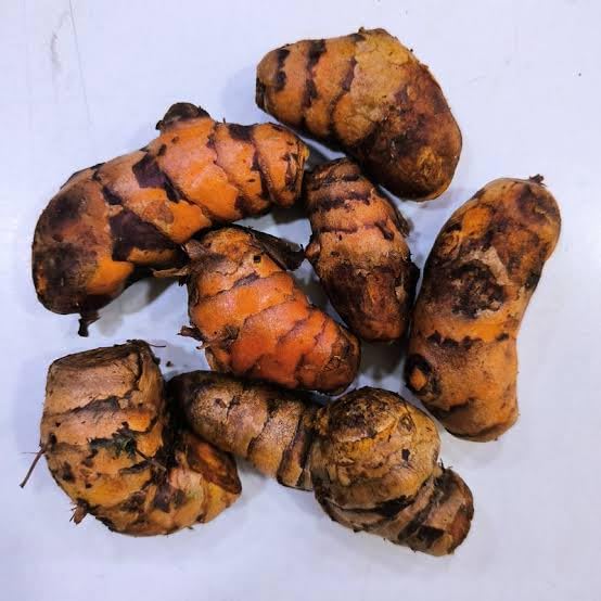 Fresh Turmeric Bulb, Raw Organic Turmeric Rhizome, Turmeric Root