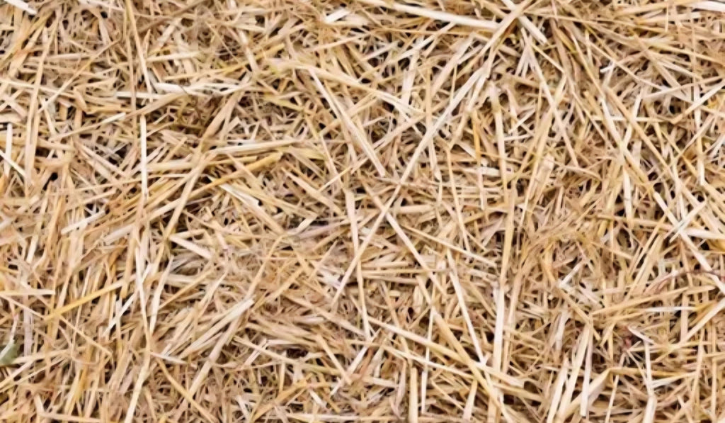 Natural Dried hay, Golden Yellow, Garden Mulch, Soil