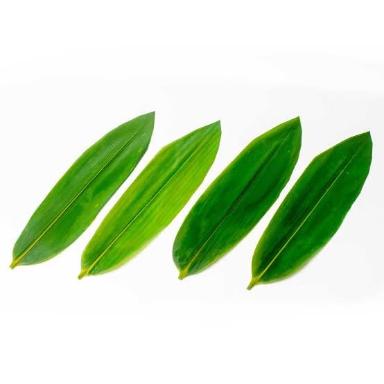 Green Bamboo Leaf for Cooking, puja, tea and craft, Large Natural Plant Leaf, 100 piece