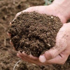 Premium Organic Potting Soil Mix, Dark Rich Compost for Garden and Plants, lbs