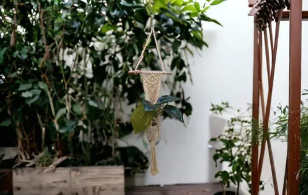 Macrame Plant Hanger, Handwoven Cotton Wall Hanging with Wooden Rod, Boho Home Decor, White