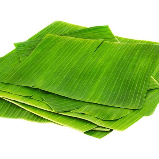 Fresh Banana Leaves, Large Green, 10-Pack for Traditional Cooking