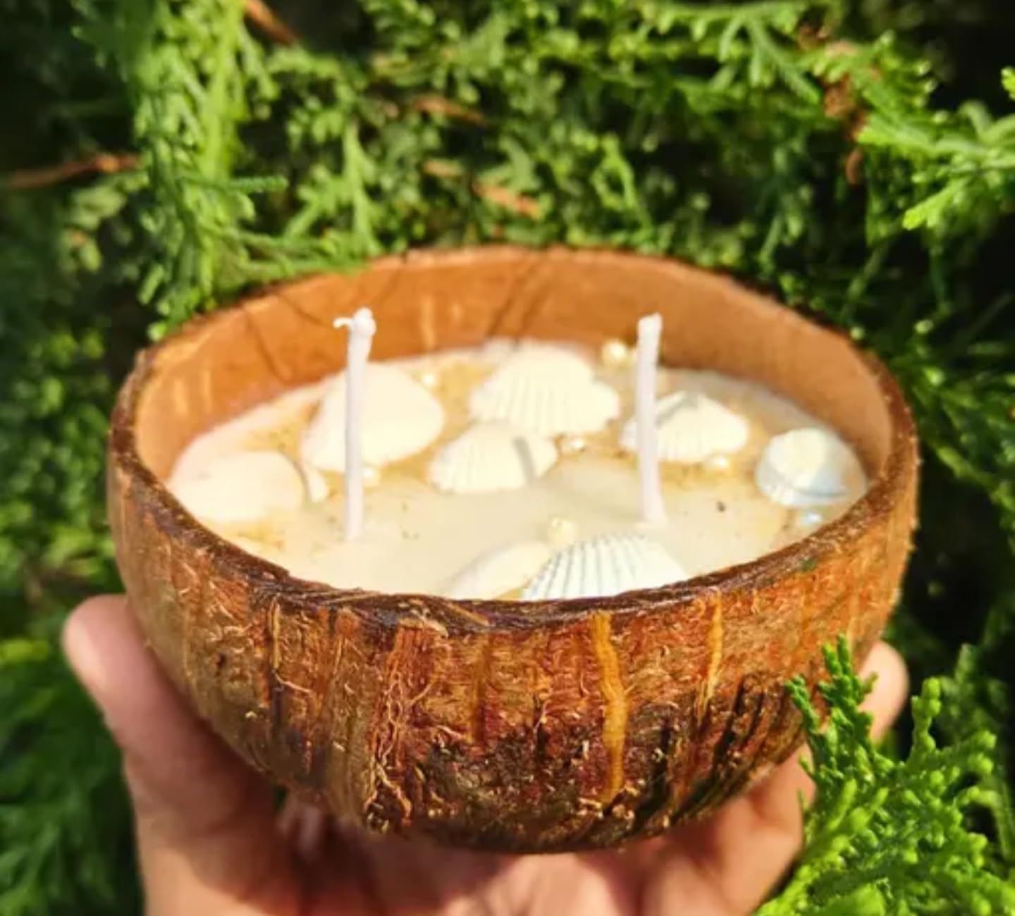 Natural Coconut Shell Scented Candle, Seashell Decorative, Handmade