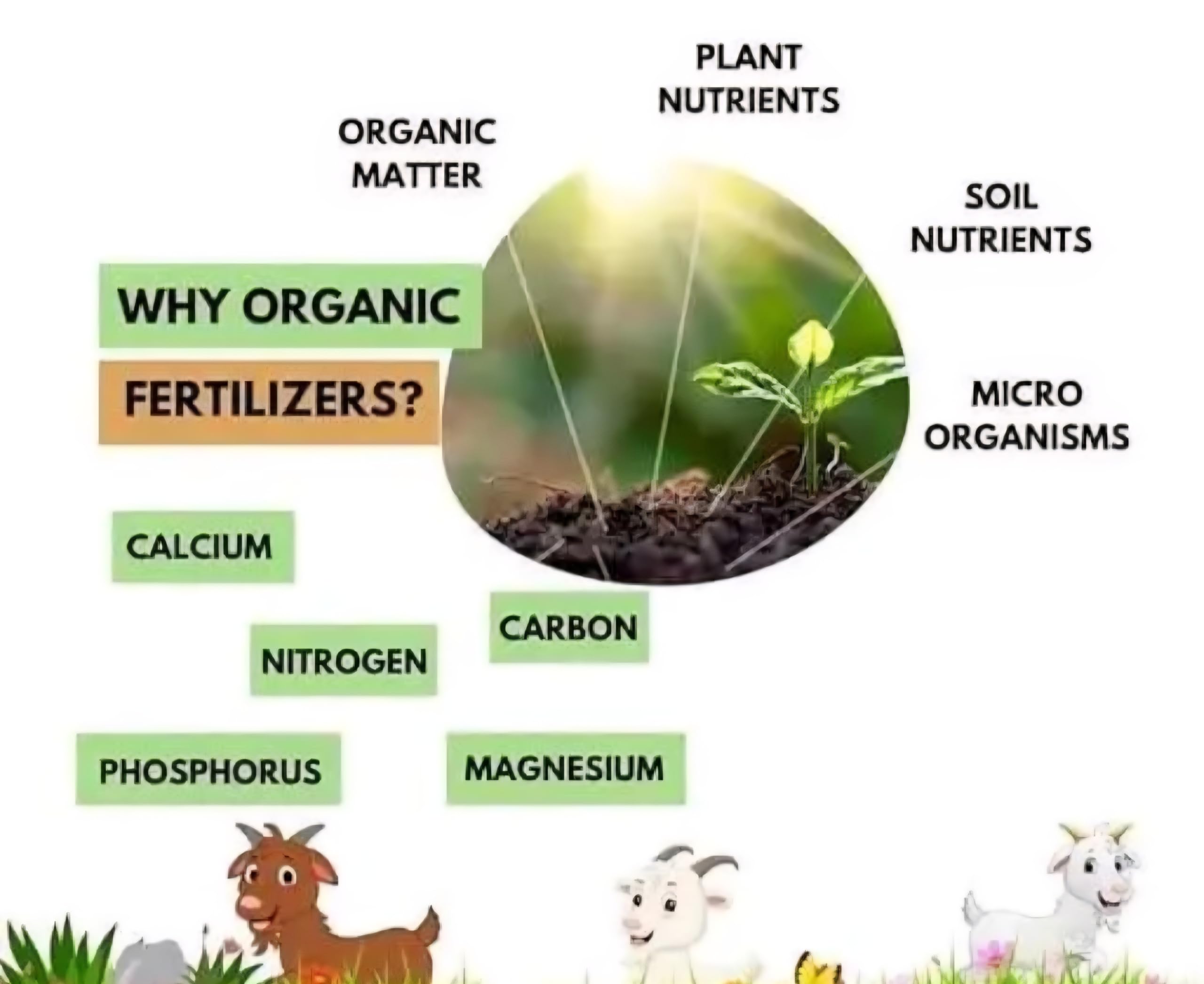 Goat Dung Manure Organic Fertilizer with Plant Nutrients, Soil Nutrients, Calcium, Nitrogen, Phosphorus, Carbon, Magnesium, Microorganisms