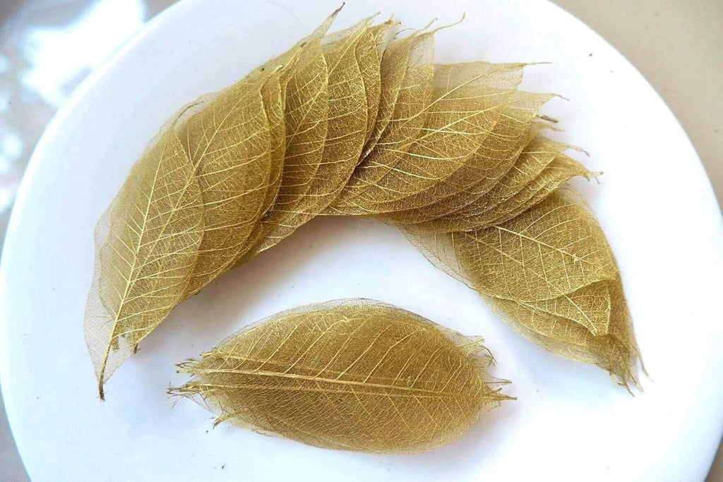 Leaf skeleton, Decorative Craft Supplies, 100-Pack, skeleton of leaf