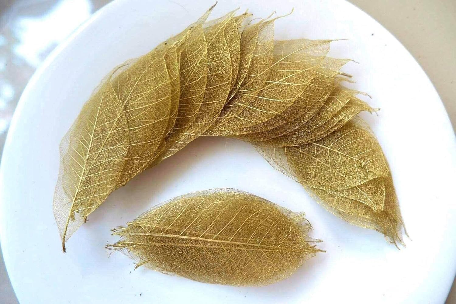 Leaf skeleton, Decorative Craft Supplies, 100-Pack, skeleton of leaf