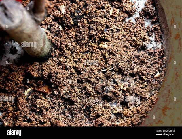 Used tea for soil mix, organic fertilizer, organic manure