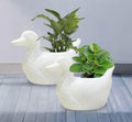 Decorative White Ceramic Duck Planter Set, Indoor Garden Pots for Small Plants, Modern Farmhouse Style, 2 Pack