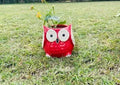 Decorative Red Ceramic Owl Planter, Garden Flower Pot with Large Eyes, Indoor Outdoor Plant Container