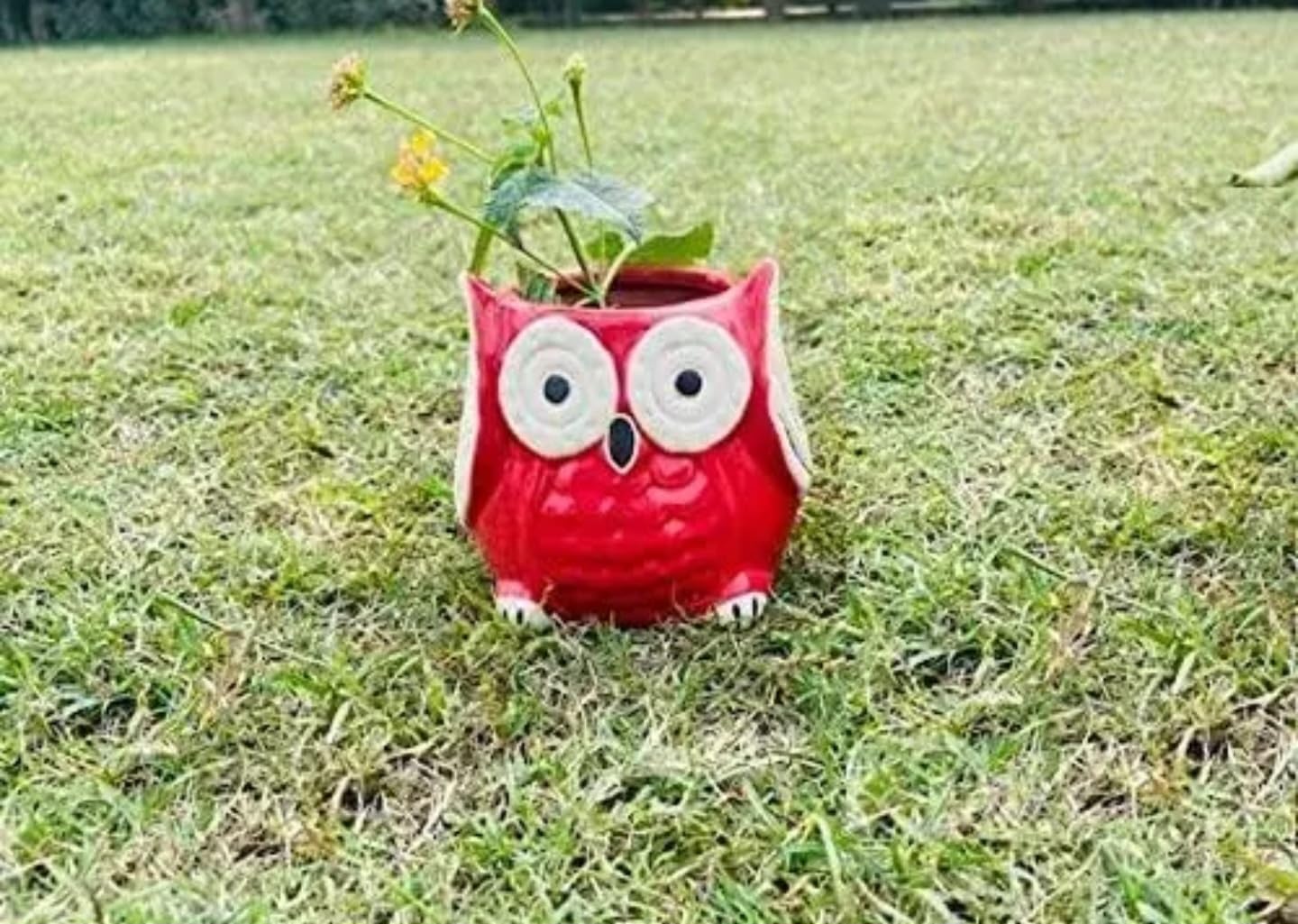Decorative Red Ceramic Owl Planter, Garden Flower Pot with Large Eyes, Indoor Outdoor Plant Container