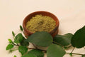 Natural hibiscus leaf powder for hair mask, natural hair conditioner