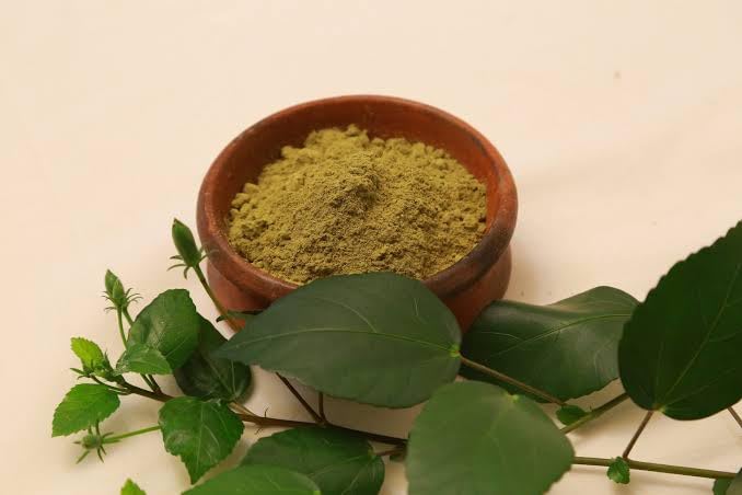 Natural hibiscus leaf powder for hair mask, natural hair conditioner