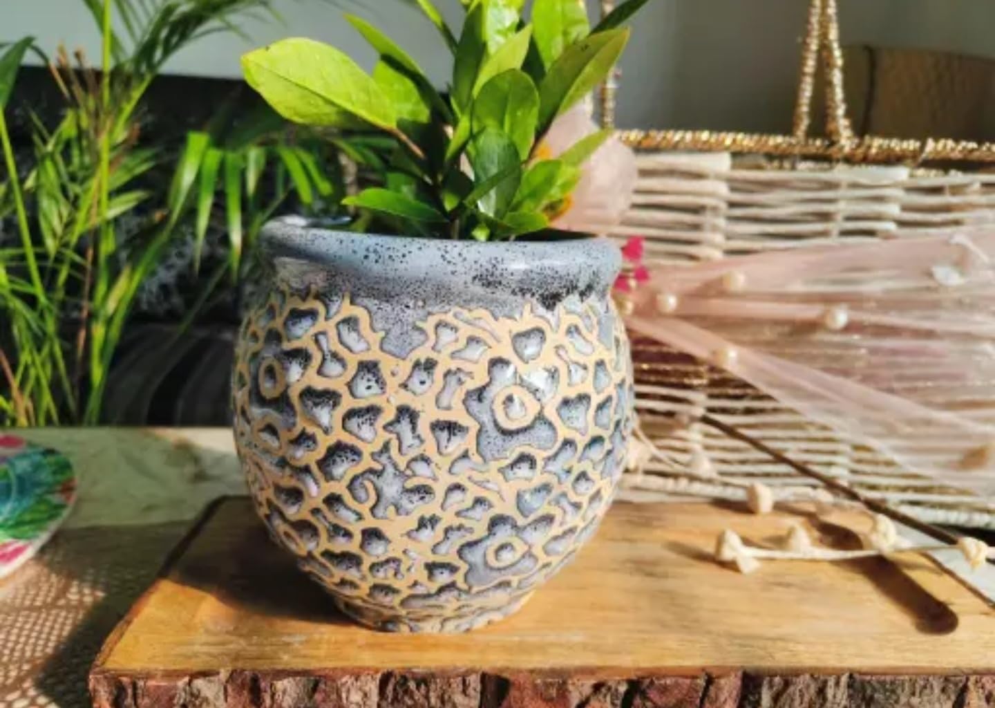 Decorative Ceramic Planter Pot with Lattice Pattern, Gray and Beige, Round Garden Container for Indoor Plants