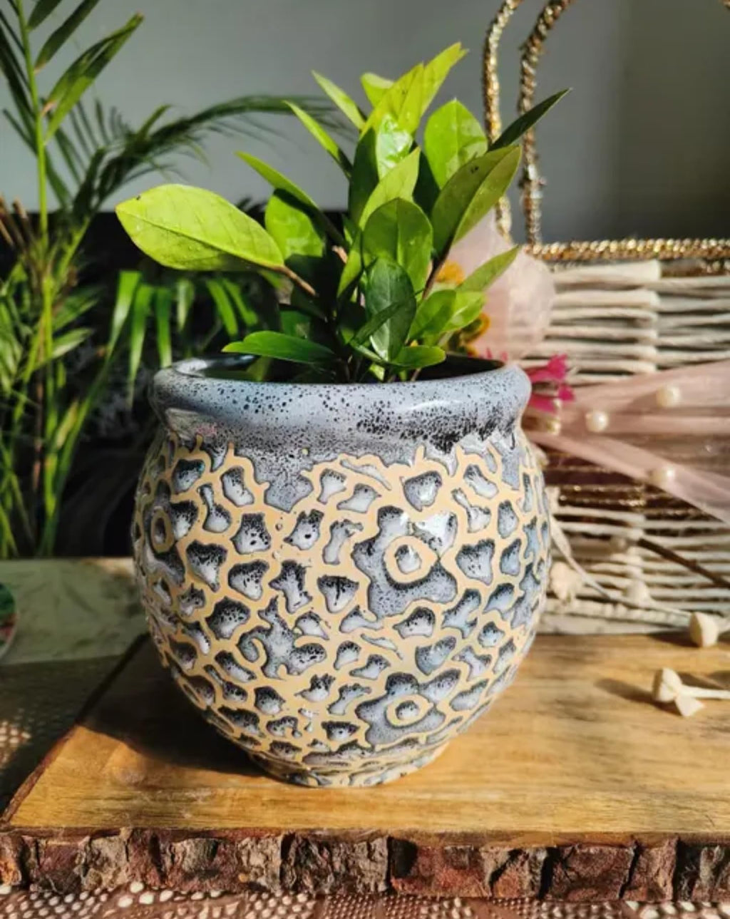 Decorative Ceramic Planter Pot with Lattice Pattern, Gray and Beige, Round Garden Container for Indoor Plants