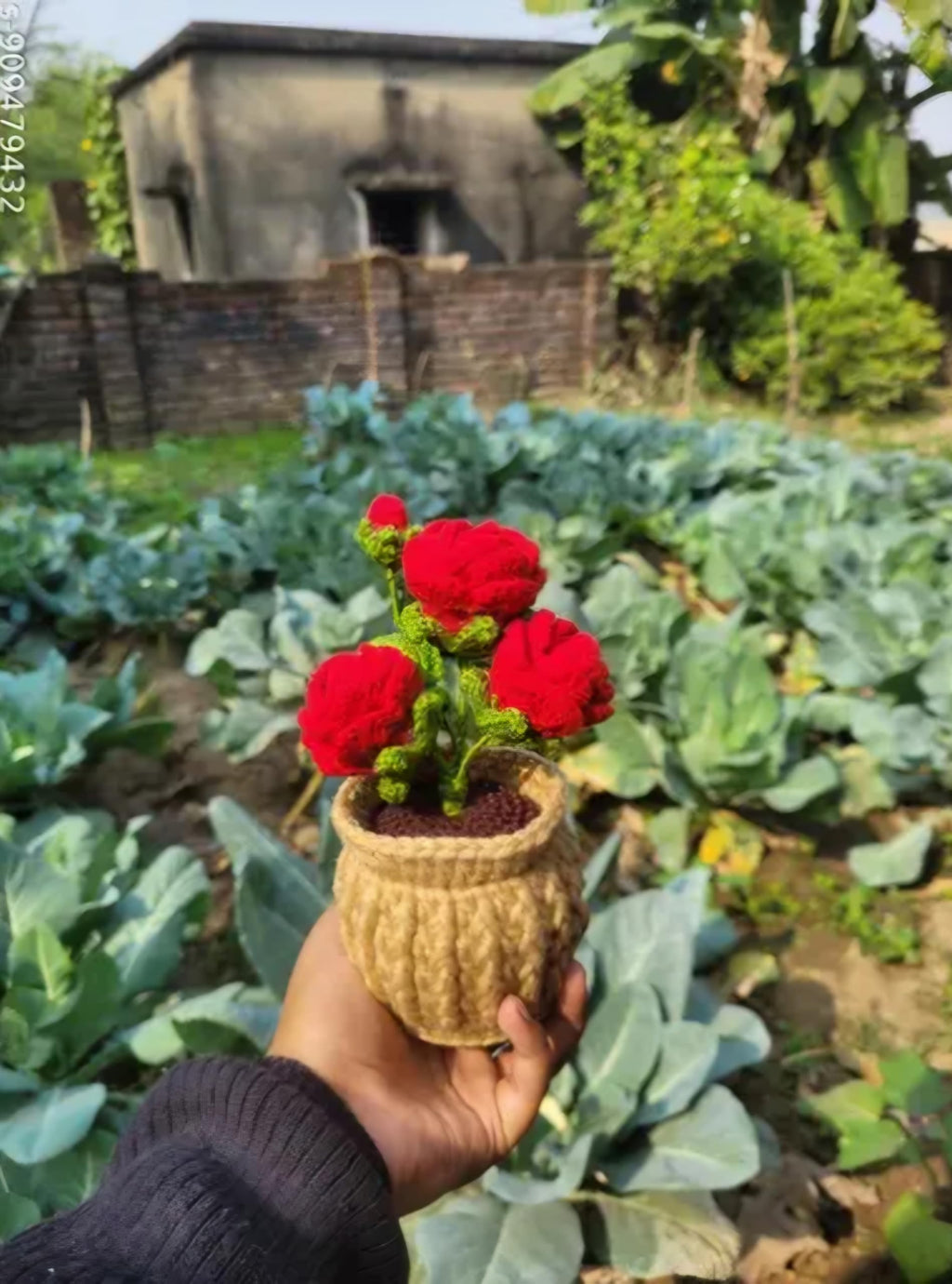 Handmade Crochet Red Rose Artificial Flower in Knitted Pot, Home Decor, Boho Style