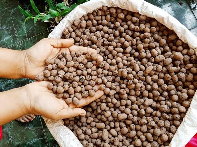Lecca balls for soil mix, Expanded Clay Pebbles Growing Media, Hydroponics Substrate,