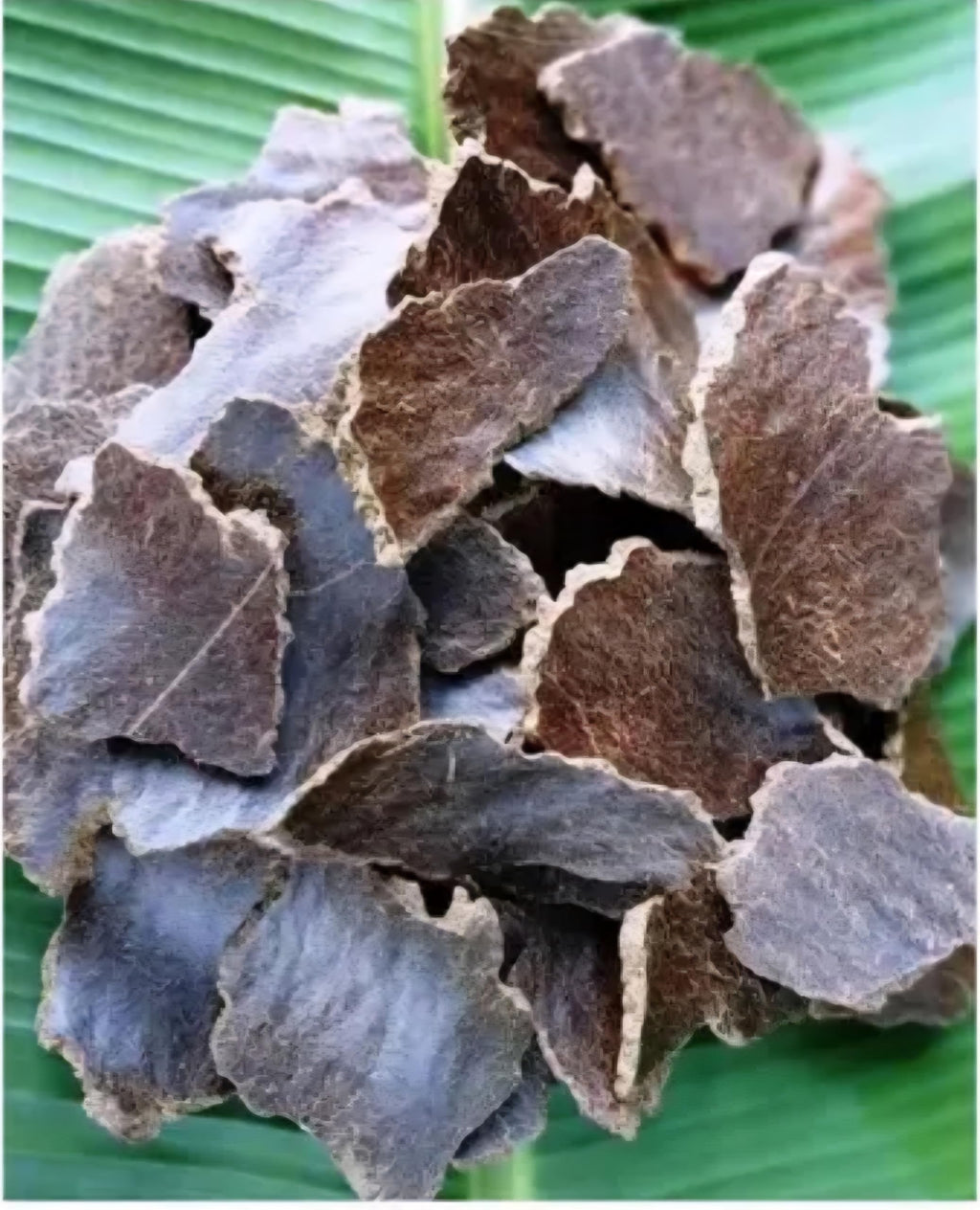 Organic Mustard Cake Fertilizer for Healthy Plants