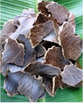 Organic Mustard Cake Fertilizer for Healthy Plants