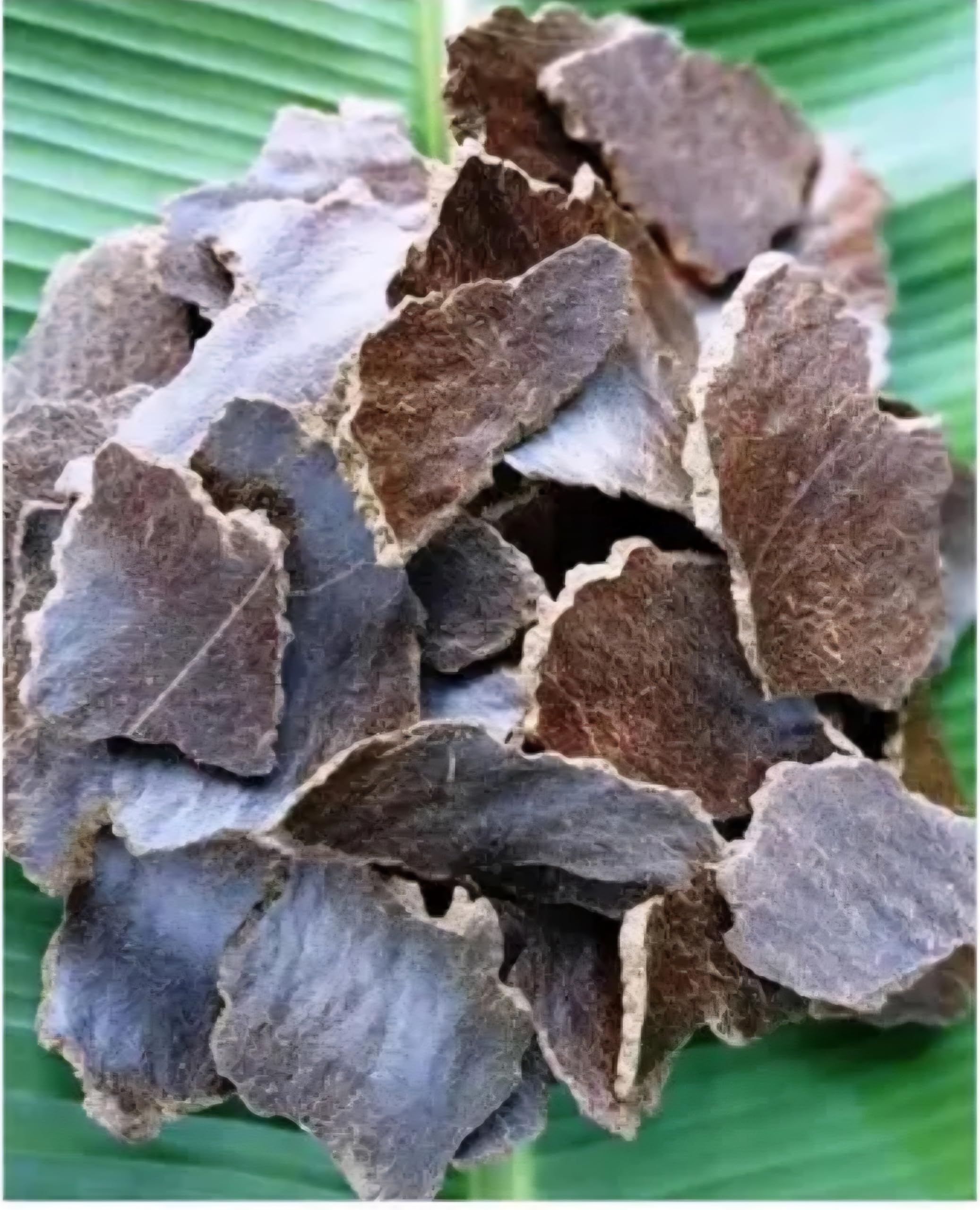 Organic Mustard Cake Fertilizer for Healthy Plants