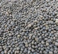 Goat Dung Manure Organic Fertilizer with Plant Nutrients, Soil Nutrients, Calcium, Nitrogen, Phosphorus, Carbon, Magnesium, Microorganisms