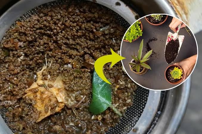 Used Tea Compost, Tea Organic Fertilizer