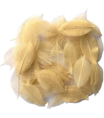 Leaf skeleton, Decorative Craft Supplies, 100-Pack, skeleton of leaf