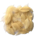 Leaf skeleton, Decorative Craft Supplies, 100-Pack, skeleton of leaf