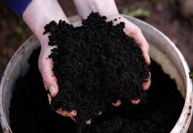 Cow Dunk Manure for Soil Mix, Gardening Soil Mix Compost, Cow Dunk Compost