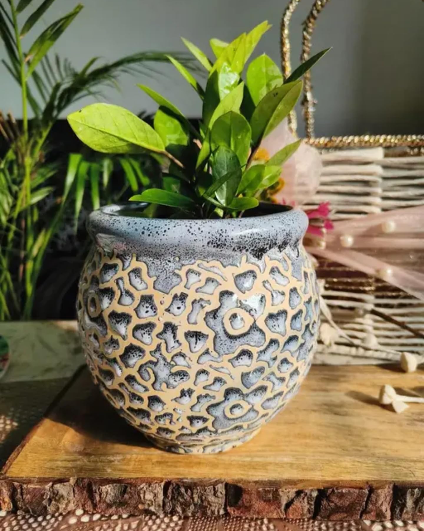 Decorative Ceramic Planter Pot with Lattice Pattern, Gray and Beige, Round Garden Container for Indoor Plants