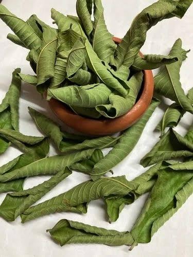 Dry Guava Leaf , Guava Leaf Dried