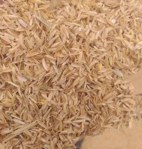 Rice Husk for Soil Mix