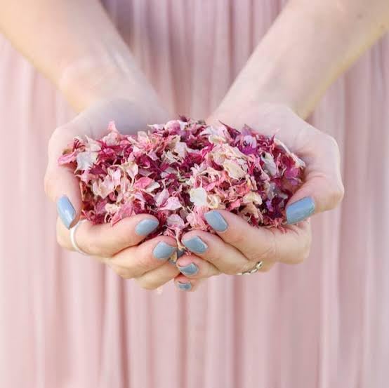 Natural Dried Rose Petals in Organza Bags, Pink and White, Wedding Confetti,25 Sachets, Medium Size