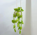 Crochet Hanging Plant Decor, Handmade Knitted Potted Vine with Green Leaves, Boho Home Ornament